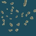 Thumbnail for version as of 20:54, 3 August 2026