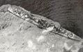 Asashimo streams a large oil slick as she founders 150 miles south of Nagasaki, 7 April 1945.