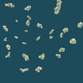 Thumbnail for version as of 10:45, 11 March 2026