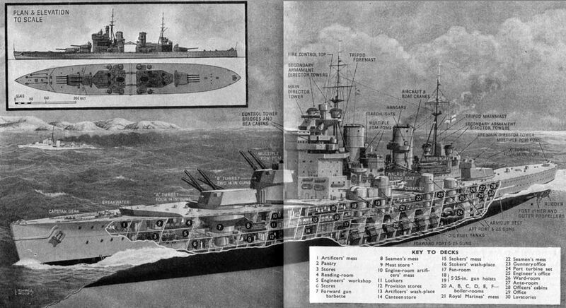 File:KGV Cutaway.jpg