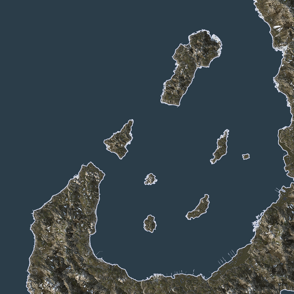 File:Tactical Map Killer Whale.png