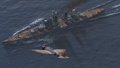 An Aichi D3A1 from Kaga inspects the new cub.